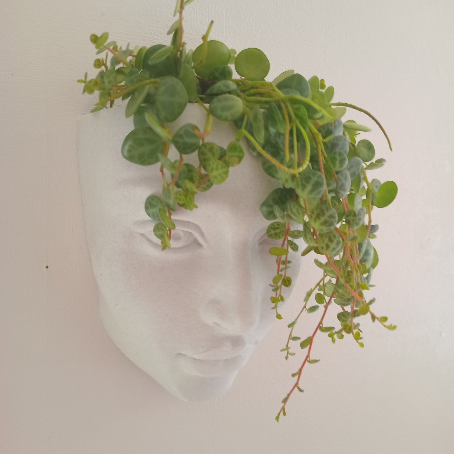 Realistic Face Wall Hanging Planter