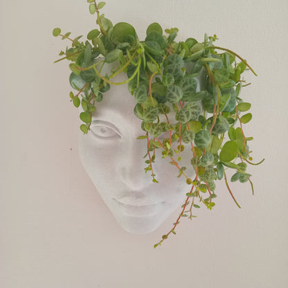 Realistic Face Wall Hanging Planter