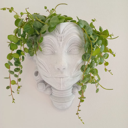 Luna Interchangeable Wall Hanging/Stand Alone Planter