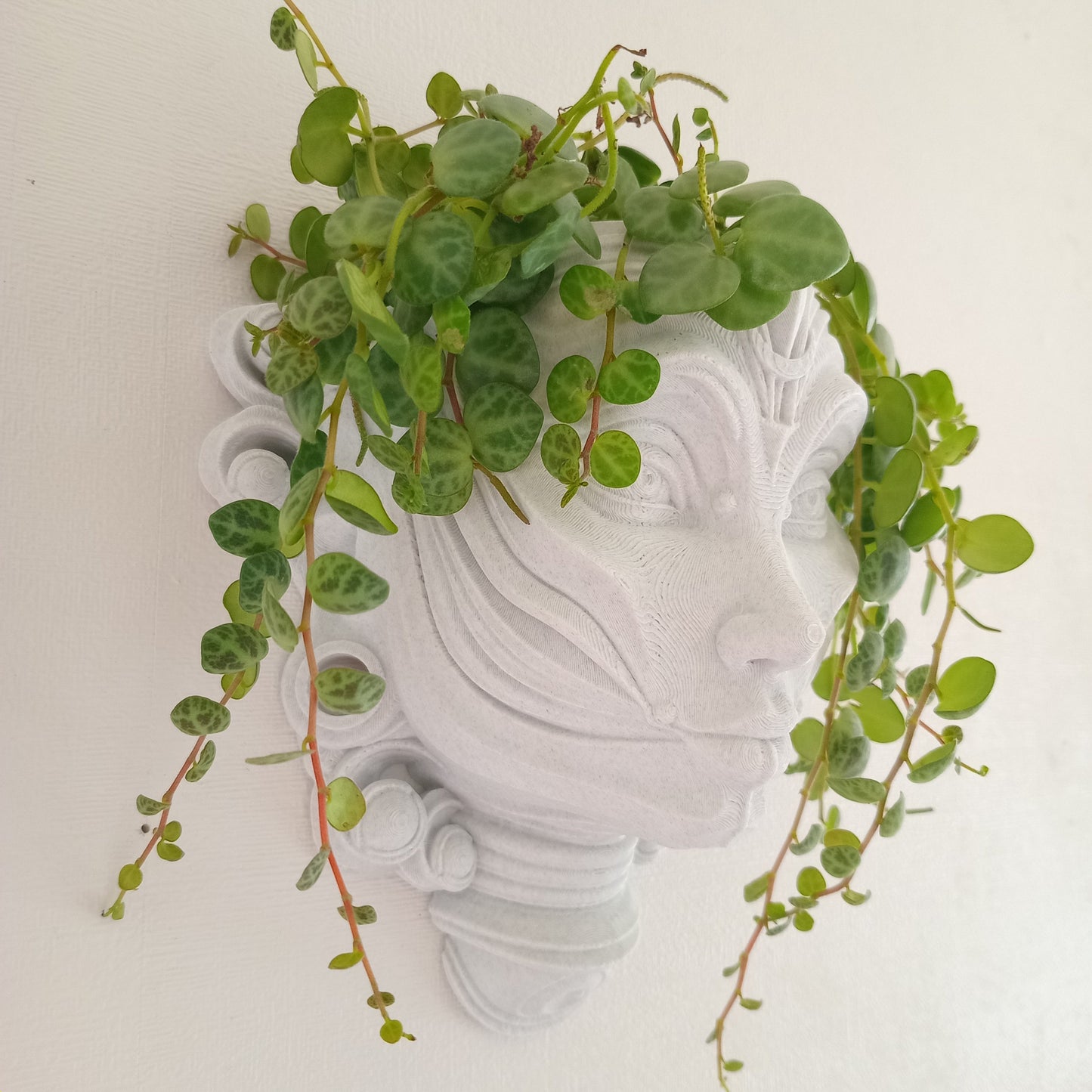 Luna Interchangeable Wall Hanging/Stand Alone Planter