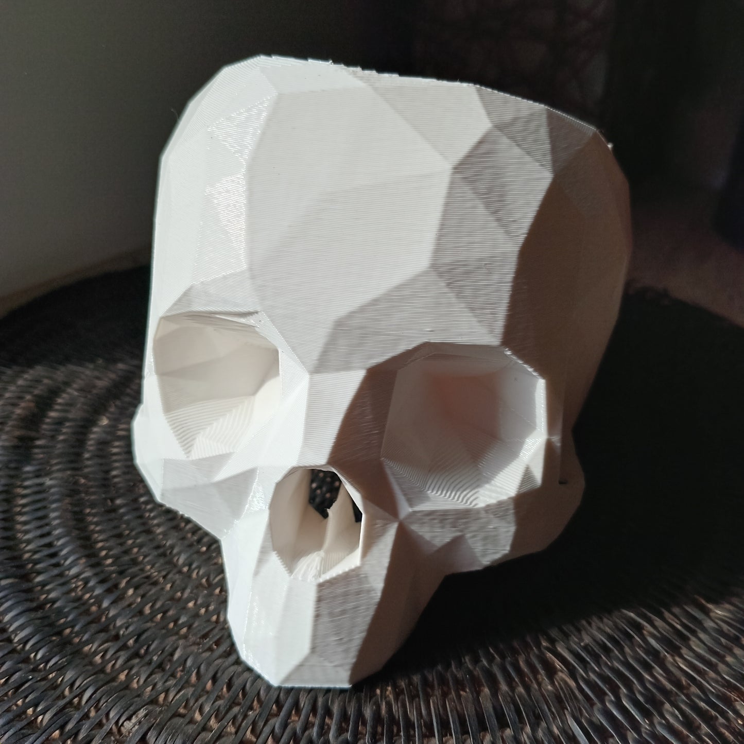 Geometric Skull Plant Pot