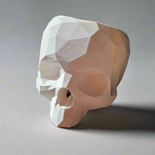 Geometric Skull Plant Pot