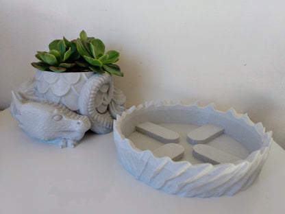 Dragons  Nest Planter