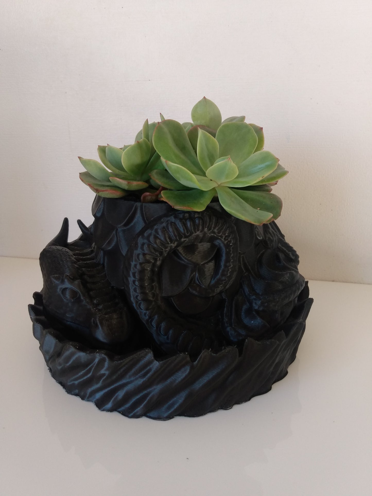 Dragons  Nest Planter