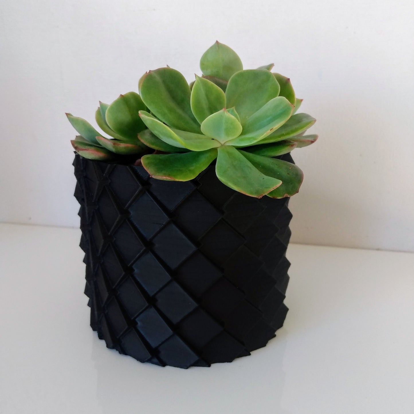 Dragon Scale Cover Pot and Planter