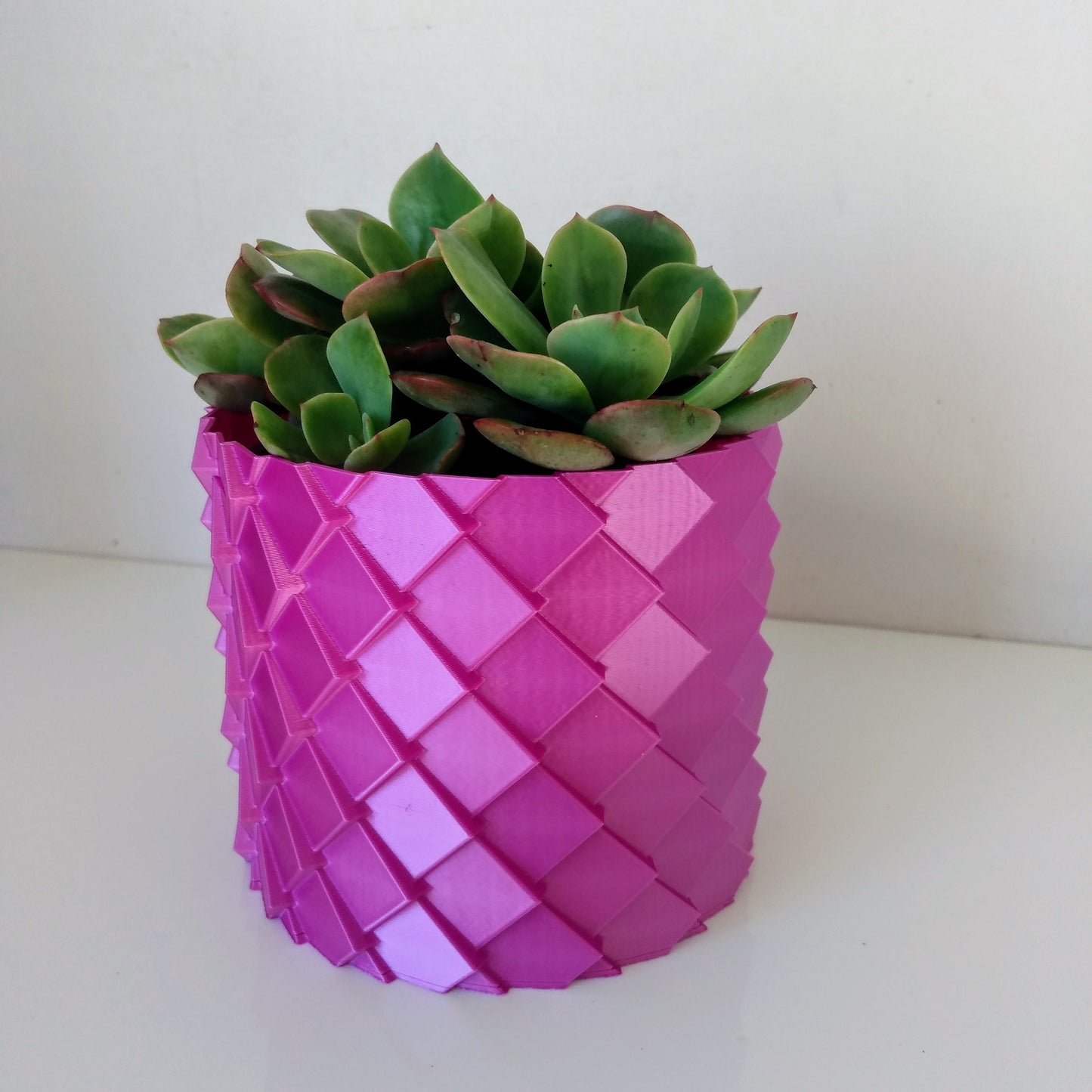 Dragon Scale Cover Pot and Planter