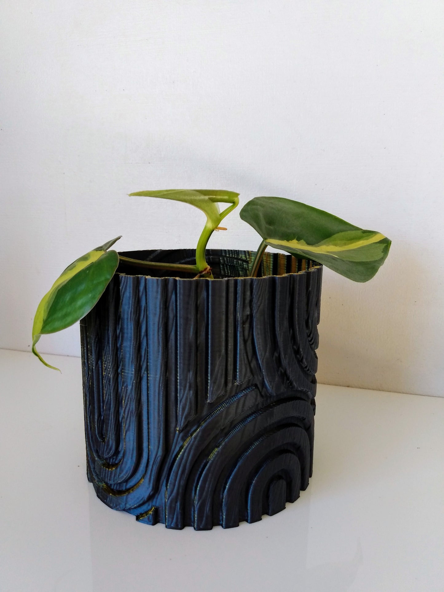 Retro Pot and Planter