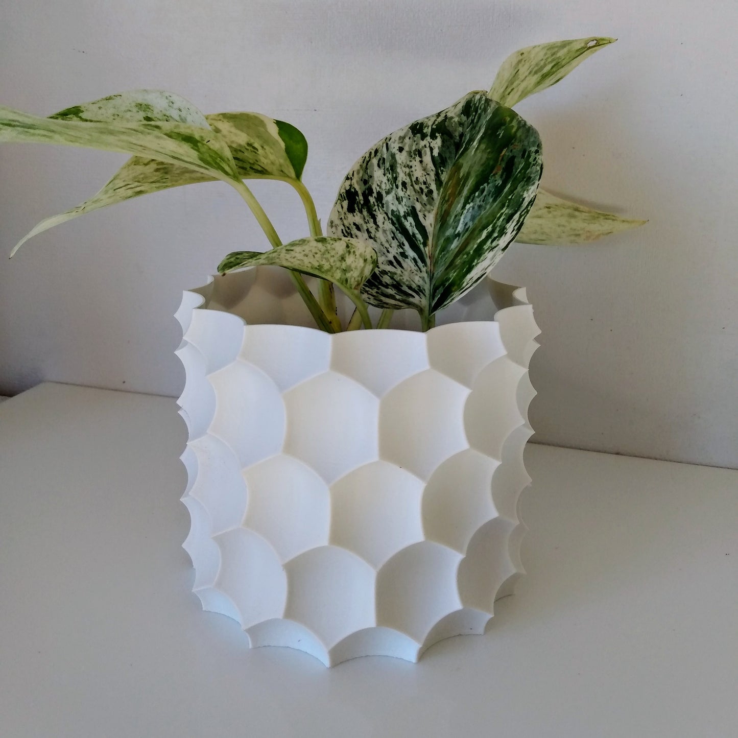 Anti-Sphere Cover Pot and Planter