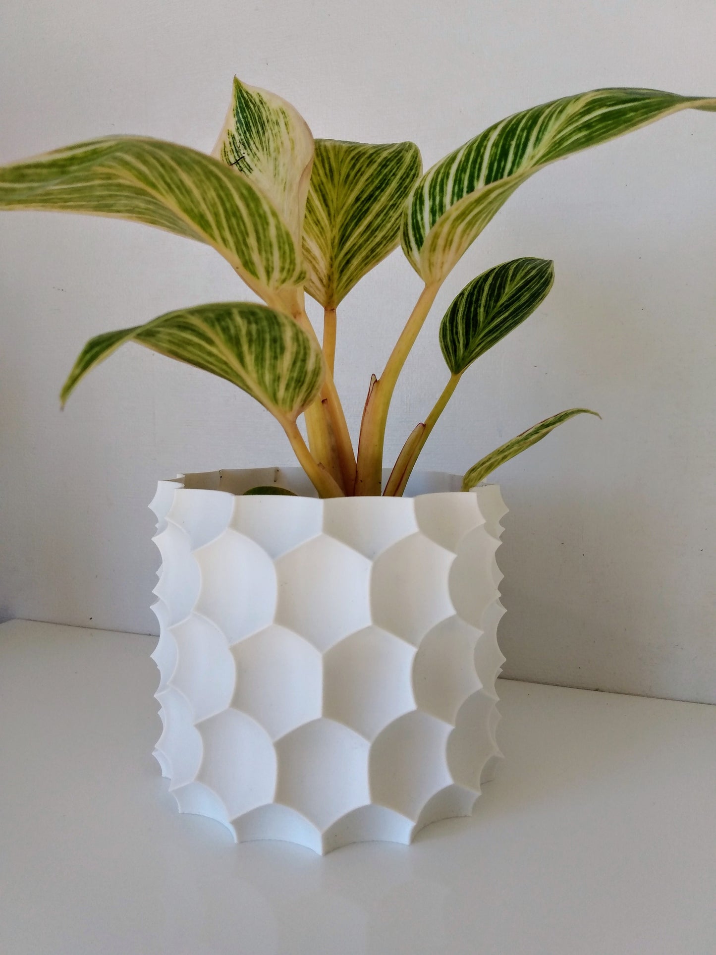 Anti-Sphere Cover Pot and Planter