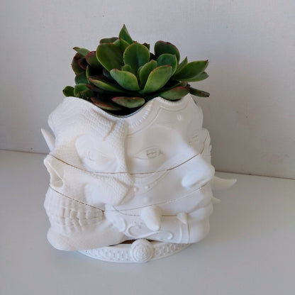 Multi-Hannya Face Rotating Planter