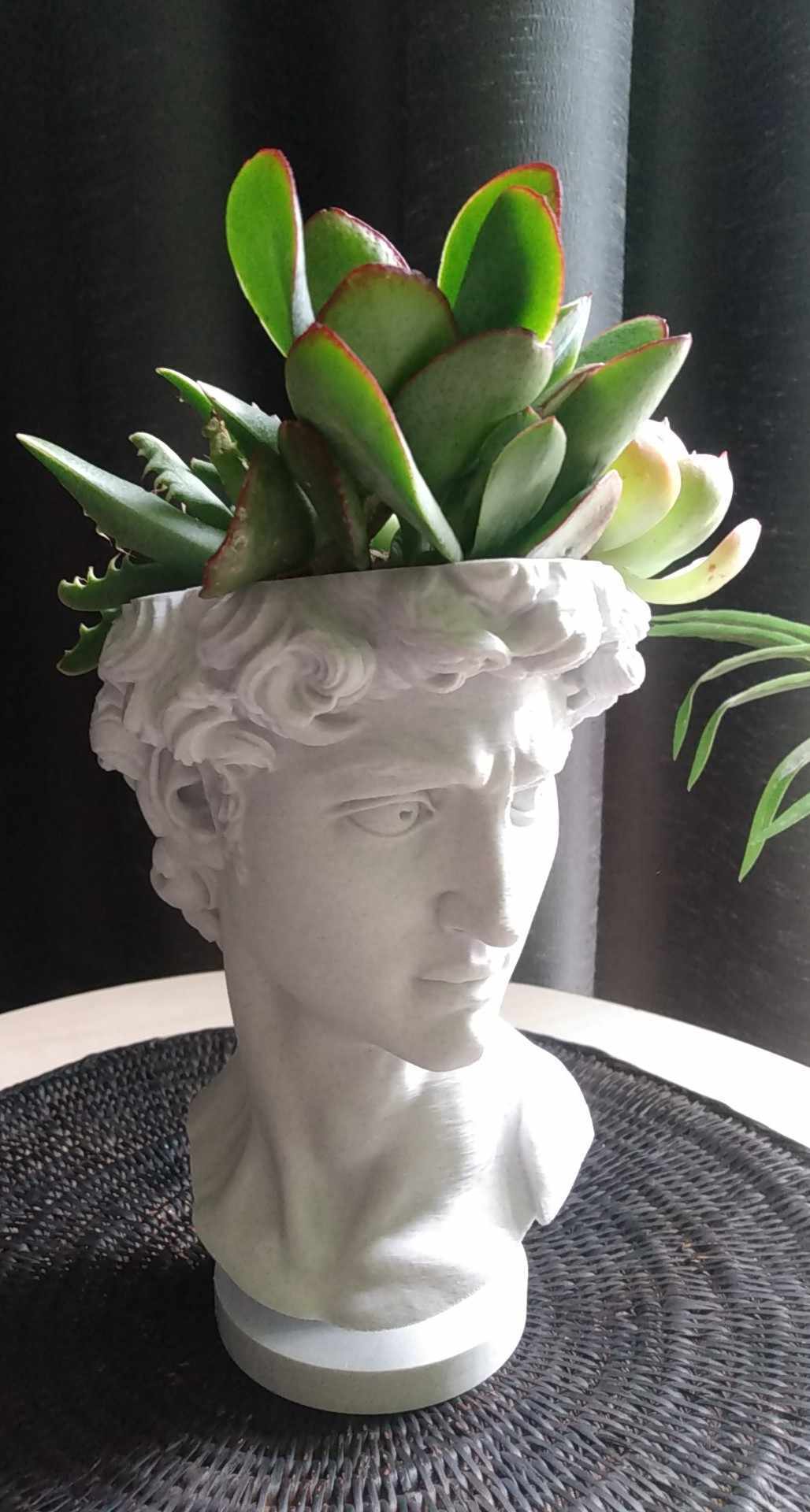 Statue of David Bust Plant Pot