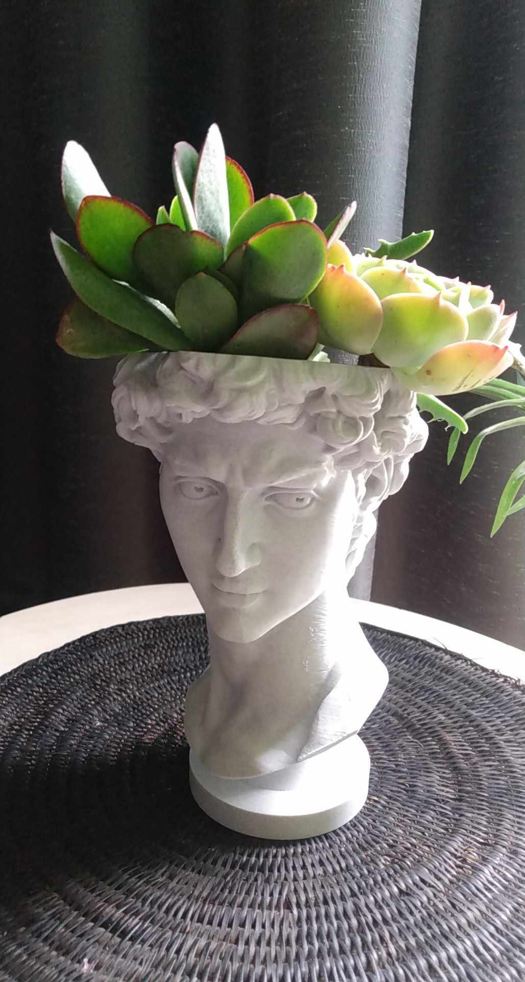 Statue of David Bust Plant Pot