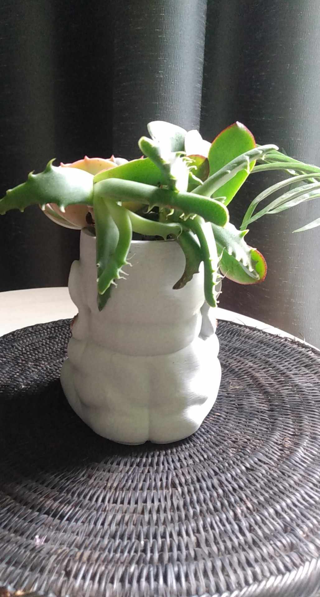 Happy Buddha Plant Pot