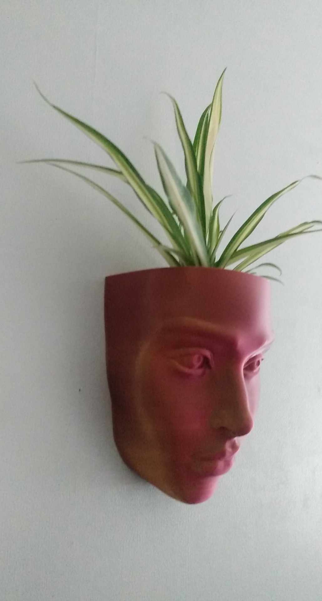 Realistic Face Wall Hanging Planter